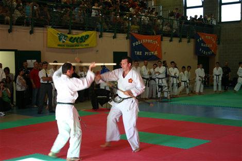 Fasi di combattimento