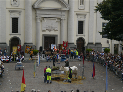 Veduta dal Municipio