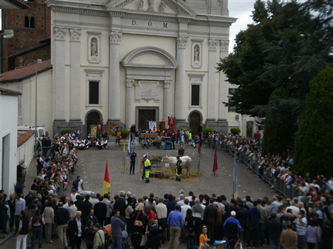 Piazza Castello - Palio della Robiola