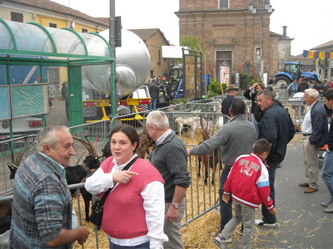Visitatori