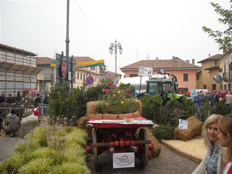 Piazza Umberto I