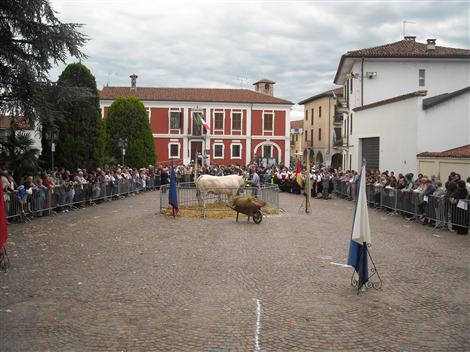 L'allestimento in Piazza Castello per il Palio della Robiola
