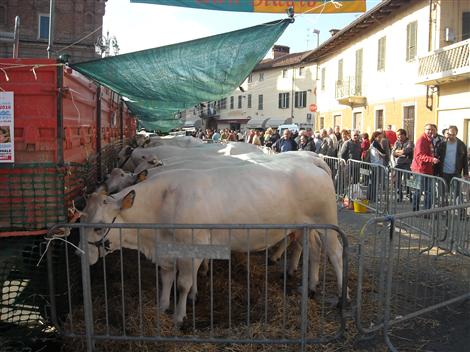 Fiera Zootecnica (27/9/2010)