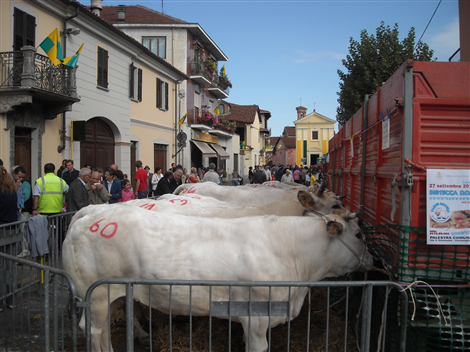 Piazza Umberto I