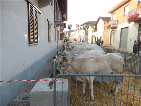 Fiera Zootecnica (23/9/2013)