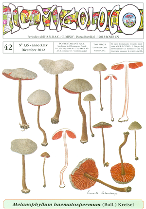 LE POLYPORACEAE DEL BOSCO DEL MERLINO