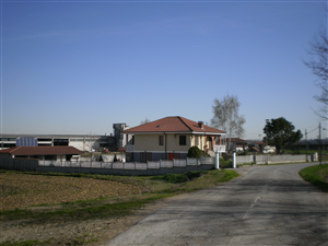 Caporali